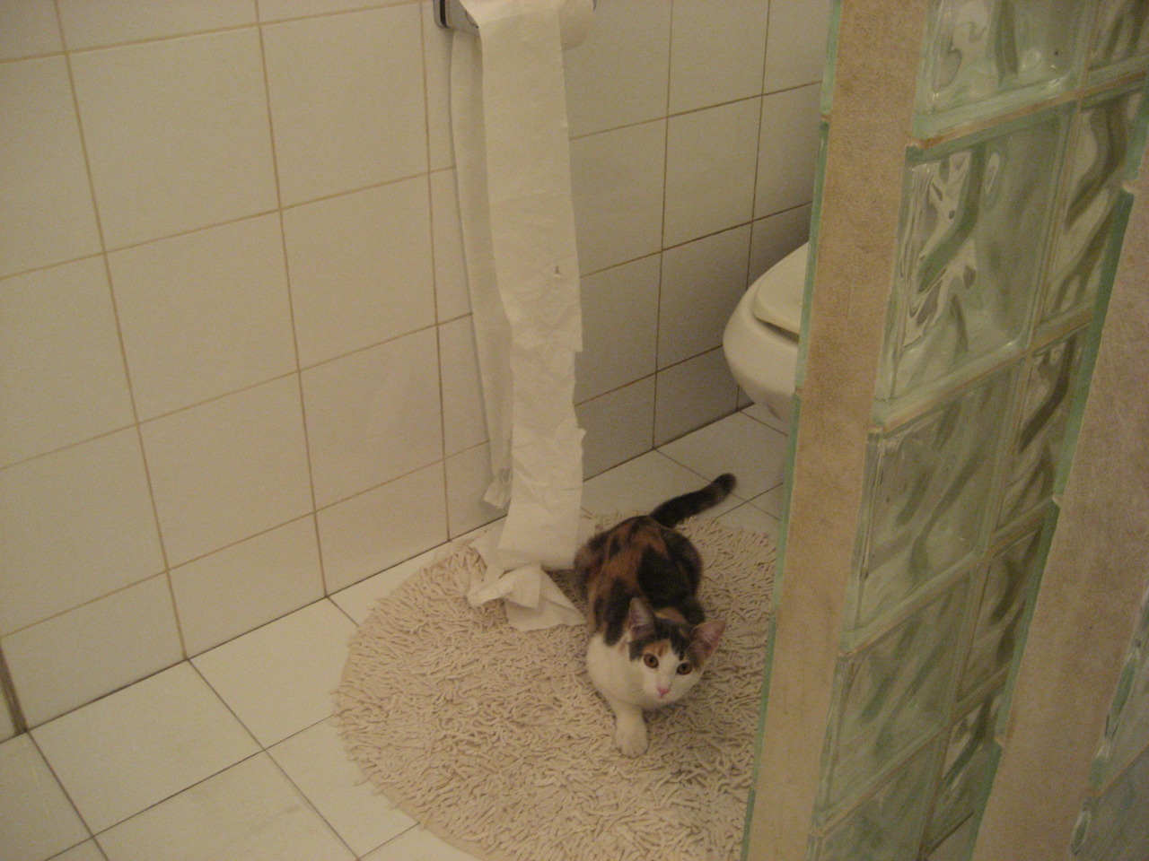 塞内加尔硬仗突显亚非荣光,孙兴慜数据爆炸难掩亚洲一哥梦醒时